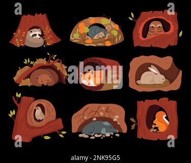 Animali della foresta in buchi di albero e buchi su sfondo nero cartoni animati collezione disegno piano Illustrazione Vettoriale