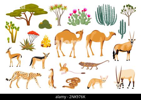 Deserto flora e fauna cartoon set di rettile cammello leopardo serpente capra jackal cactus isolato vettore illustrazione Illustrazione Vettoriale