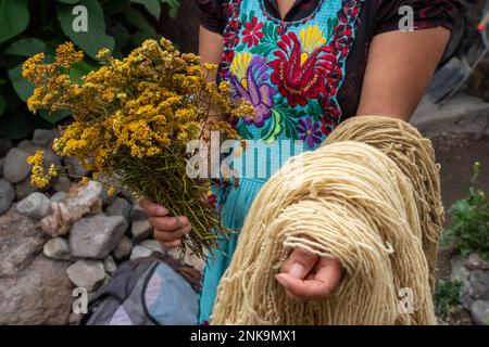 Una donna indigena Zapotec mostra piante usate per produrre coloranti naturali per tessere tappeti a San Miguel del Valle, Oaxaca, Messico. Indossa la fantasia Foto Stock
