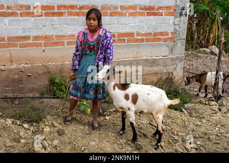 Una ragazza indigena Zapotec in abito tradizionale si erge con la sua capra a San Miguel del Valley, Oaxaca, Messico. Foto Stock