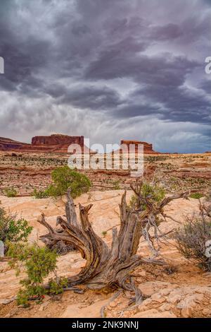 Le nuvole di tempesta di Mammatus si sviluppano sopra i Buttes di Merrimac e di Monitor vicino a Moab, Utah. Foto Stock