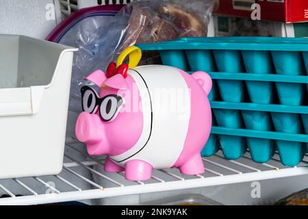 Colpo orizzontale di banca rosa del piggy nel congelatore fra il creatore del cubo del ghiaccio ed i vassoi del ghiaccio come dichiarazione circa i prezzi elevati. Foto Stock