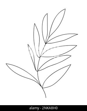Ramo vettoriale disegnato a mano con foglie Illustrazione Vettoriale