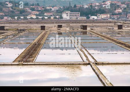 Vista panoramica invernale delle piscine marine nella Salina di Secovlje, Slovenia Foto Stock