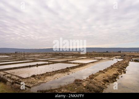 Vista panoramica invernale delle piscine marine nella Salina di Secovlje, Slovenia Foto Stock