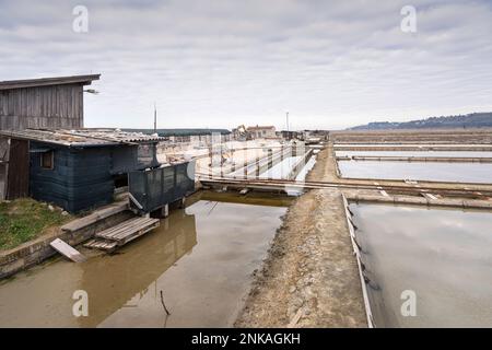 Vista panoramica invernale delle piscine marine nella Salina di Secovlje, Slovenia Foto Stock