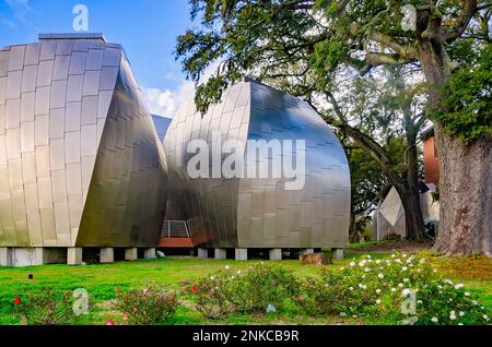 Quattro baccelli in acciaio inossidabile progettati dall'architetto Frank Gehry sono raffigurati al Museo d'Arte OHR-o'Keefe, 22 febbraio 2023, a Biloxi, Mississippi. Foto Stock