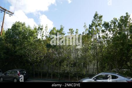 Encino, California, USA 22nd Febbraio 2023 Dancer/TV Personality Stephen Twitch Boss ex Casa/casa a Encino, California, USA. Foto di Barry King/Alamy Stock Photo Foto Stock