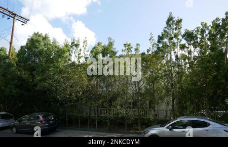 Encino, California, USA 22nd Febbraio 2023 Dancer/TV Personality Stephen Twitch Boss ex Casa/casa a Encino, California, USA. Foto di Barry King/Alamy Stock Photo Foto Stock