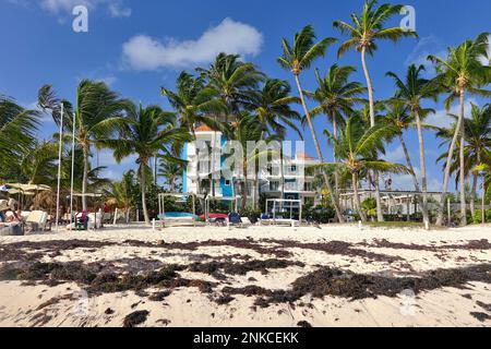 Spiaggia inquinata da alghe di fronte a una località, Punta el Cortecito, Playa Bavaro, Punta Cana, Repubblica Dominicana, Caraibi, America Centrale Foto Stock