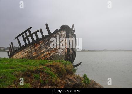 Il relitto dell'Angelus nel porto di Portbail, Cotentin, Normandia, Francia Foto Stock