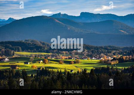 Vista da Schoenberg verso Puerschling (1566 m) nelle Alpi dell'Ammergau, Baviera, Germania Foto Stock