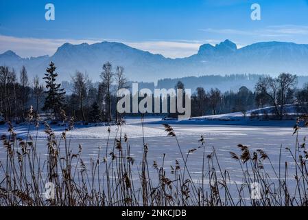 Laghetto coperto di ghiaccio nell'Allgaeu, sullo sfondo l'Aggenstein (1986 m) e il Breitenberg (1838 m), Svevia bavarese, Baviera, Germania Foto Stock