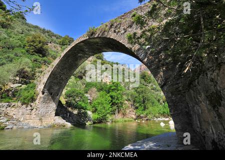 Ponte a Zaglia sul fiume Ota nella gola Spelunca tra Evisa e Porto, Corsica, Francia Foto Stock