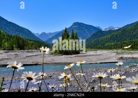 Alle sorgenti dell'Isar vicino a Vorderriss, vista dei Monti Karwendel, Bad Toelz-Wolfratshausen, Baviera, Germania Foto Stock