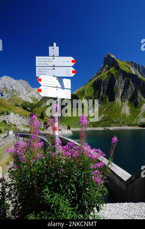 Cartello a Spullersee, serbatoio alla sorgente del Lech, Vorarlberg, sullo sfondo il Goppelspitze, Austria Foto Stock