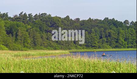 Meclemburgo-Pomerania occidentale, nel Parco Nazionale di Mueritz, lago con pescatore e barca a remi, Germania Foto Stock