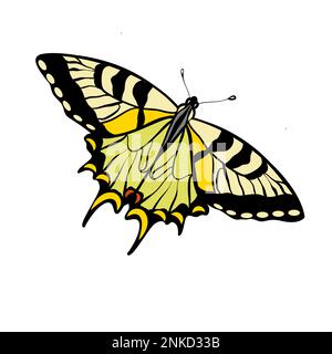 Illustrazione del vettore farfalla swallowtail della tigre Illustrazione Vettoriale