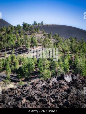 I resti vulcanici sparsi sul cratere del tramonto vicino a Flagstaff, Arizona. Foto Stock