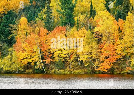 La foresta si trasforma in colori autunnali lungo una riva del lago nel Jay Cooke state Park, Minnesota. Foto Stock