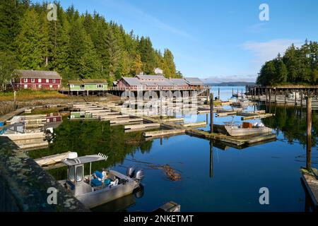 Telegraph Cove Marina e edifici storici su Pilings. Il porticciolo di Telegraph Cove e le sistemazioni costruite su pilings che circondano questo luogo storico Foto Stock