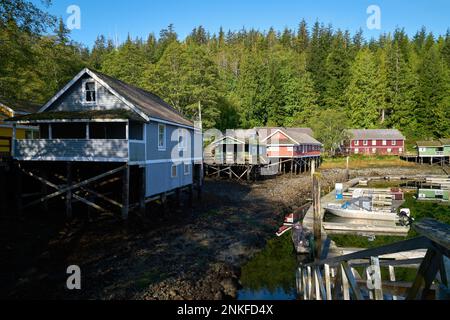 Storico Telegraph Cove Marina e Boardwalk edifici su Pilings. Il porticciolo di Telegraph Cove e le sistemazioni costruite su pilings che circondano questo hist Foto Stock