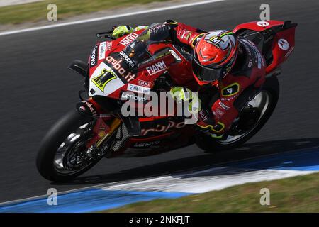 Melbourne, Australia. Venerdì 24 febbraio 2023. Alvaro Bautista (1, Ducati), World Superbike FP1 a Phillip Island. Credit: Karl Phillipson/Alamy Live News Foto Stock