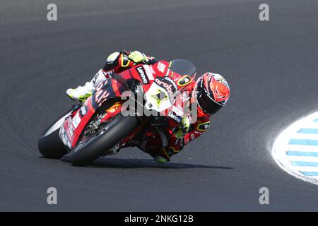 Victoria, Australia. 24th Feb, 2023. Alvaro Bautista (ESP) Racing for Aruba.IT Racing - Ducati-riding the Ducati Panigale V4R durante la pratica per l'Australian Grand Ridge Round 2023 del Campionato Mondiale Motul FIM Superbike 2023 a Phillip Island, Australia il 24 Febbraio 2023 - Image Credit: brett keating/Alamy Live News Foto Stock