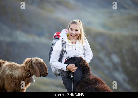 Austria, Tirolo, escursionista femminile sorridente mentre accarezzano capre da pascolo Foto Stock