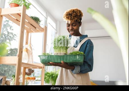 Donna sorridente che mette il microgreen nel contenitore a casa Foto Stock