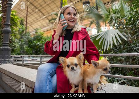 Donna matura sorridente che parla al telefono seduto con i cani Chihuahua sul muro Foto Stock