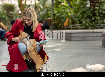 Donna matura felice con cani Chihuahua sul sentiero Foto Stock