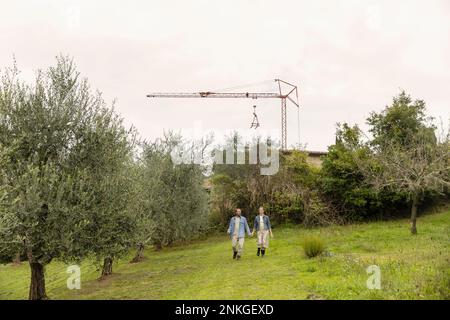Coppia matura che tiene le mani e cammina sul campo Foto Stock