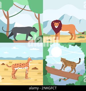 Gatti selvatici piatti 2x2 Set di composizioni quadrate con paesaggi all'aperto e felini in habitat naturale illustrazione vettoriale Illustrazione Vettoriale