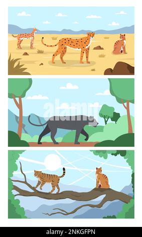 Gatti selvatici serie piatta di tre composizioni orizzontali con scenari tropicali e felini in habitat naturale illustrazione vettoriale Illustrazione Vettoriale