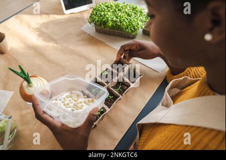 Giovane donna con semi di lenticchie germogliate Foto Stock