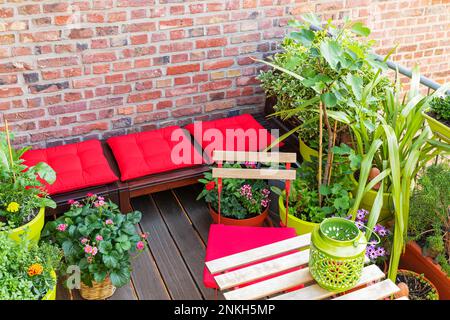 Erbe e fiori coltivati nel giardino del balcone Foto Stock