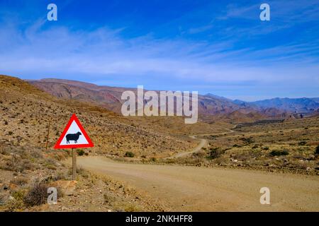 Sud Africa, Provincia del Capo Occidentale, segnale di attraversamento di pecore accanto alla strada sterrata vuota nel Grande Karoo Foto Stock