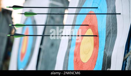 Frecce nel tiro con l'arco bersaglio o cerchio per la concorrenza, il gioco o l'apprendimento in campo all'aperto per lo sfondo sportivo. Evento sportivo, icona o goal oculare con freccia Foto Stock