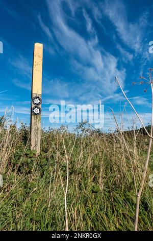 Segnavia in legno dipinto di giallo contro il cielo blu con frecce di direzione Leicestershire Round, Leicestershire, Inghilterra, Regno Unito Foto Stock