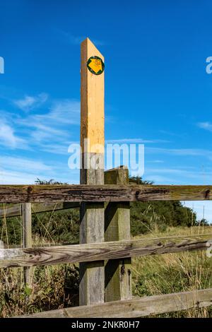 Segnavia in legno dipinto di giallo contro il cielo blu con frecce di direzione, Leicestershire, Inghilterra, Regno Unito Foto Stock