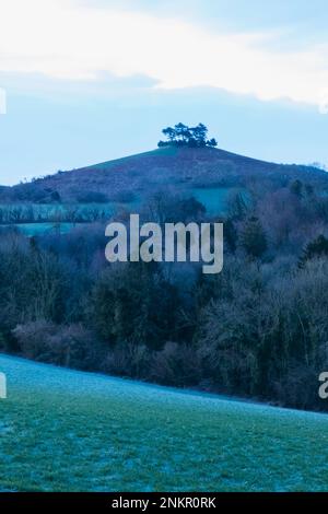 Inghilterra, Dorset, Bridport, Symondsbury Estate, Colmers Hill Foto Stock