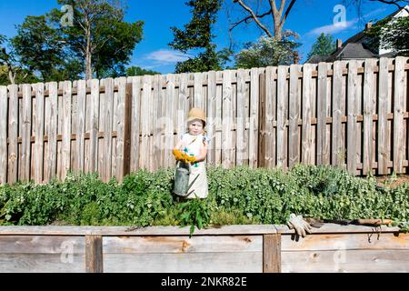 Ragazza che tiene annaffiare può in giardino Foto Stock