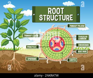 Struttura interna dell'illustrazione del diagramma principale Illustrazione Vettoriale