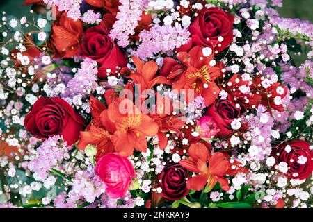Sfondo floreale con fiori diversi Foto Stock
