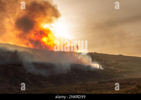 Controlled heather burning by a gamekeeper on Burley Moor in West Yorkshire with a gamekeeper standing in the smoke at sunset. England, UK Stock Photo