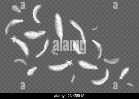Piume bianche volanti, piumaggio d'angelo cadente, elementi di ali di uccello. 3d cornice luminosa isolata su fondo trasparente, silhouette a colomba o a cigno, sof Illustrazione Vettoriale
