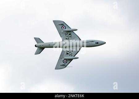 Questo è l'Hawker Hunter T7 WV372 che servì nel RAF dal 1955. L'esposizione è presso lo Shoreham Airshow, Shoreham Airport, East Sussex, UK. 30th agosto 2014 Foto Stock