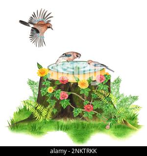 Composizione acquerello disegnata a mano con bagnomaria sul francobollo, uccelli e fiori. Una piccola parte del grande giardino DEGLI UCCELLI set Foto Stock