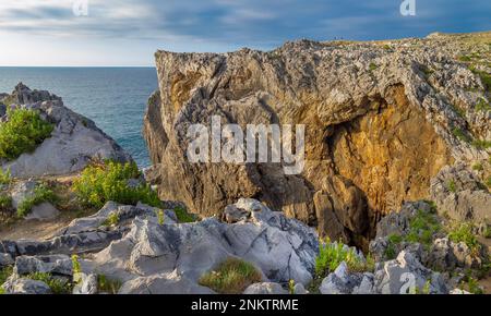 Costa rocciosa, scogliere di Pría, formazione carsica, Bufones de Pría, Paesaggio protettato della Costa Orientale delle Asturie, Lames de Pría, Asturie, Spagna, e Foto Stock